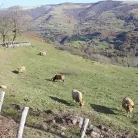 En moyenne chaque année, 3000ha de SAUsont mis en vente dans le Cantal, un “petit marché”.
