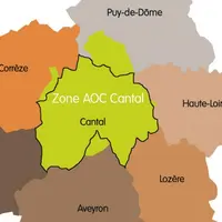 L’ensemble des 2 200 producteurs identifiés dans la zone d’appellation (en vert) de l’AOC cantal devraient être contrôlés d’ici fin 2011.