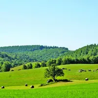 Neuf exploitations sur dix de l’échantillon étudié seraient gagnantes dans la réforme.