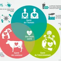 Le concept One ealth : santés humaine, animale et environnement intimement liés.