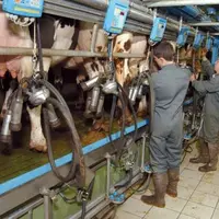 Environ 2 000 exploitations laitières du département seront visitées dans les prochains mois.