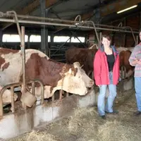 Les audits permettent aux producteurs de se situer par rapport aux cahiers des charges.