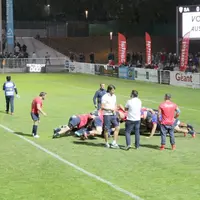 Tom Palmer, Mathieu Lescure : un tandem de choc pour les avants, au service d'André Bester.
