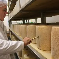 Michel Margot commence par l'évaluation des fromages les plus doux (jeunes) et terminent par les plus affirmés (salers).