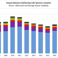 Les importations italiennes rebondissent avec une place prépondérante de la France. (Graphique Interbev).