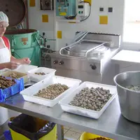 Nicole Boulet, 18 ans d’escargots à Massiac, pari réussi !