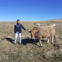 Bertrand Barriol, éleveur sélectionneur aubrac à Cézens et adhérent militant de la FDSEA.