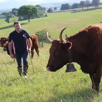 Lionel Duffayet avait pris les rênes du Herd-book et du GSE il y a dix ans.