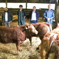 Le Gaec Monteil fait confiance depuis toujours à Biovie pour livrer ses veaux bio et peut compter désormais sur l’appui technique d’EPV. 