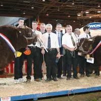 Les deux champions, Ulrich et Savane, sur le podium avec leurs éleveurs et les personnalités.