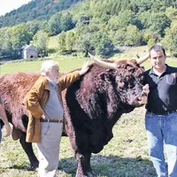 Jean-Paul et Thierry Lacombe ont présenté à Michel Duchaussoy son nouveau collègue de cinéma : le taureau Baron !