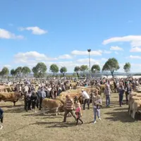 Le public est venu nombreux profiter de cette journée estivale. La star du jour : l’aubrac.