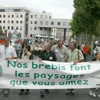 De la place du 1er-Mai, les manifestants ont rejoint la place Delille, avant de gagner la préfecture et la place de Jaude.