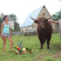 Jean-Pierre, Anaïs et Romain aux côtés de Portan qui semble apprécier les légumes frais...