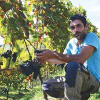 Des vignes épargnées ce printemps par le gel, une chance que Pierre Albepsy a appréciée à sa juste valeur aux vendanges.