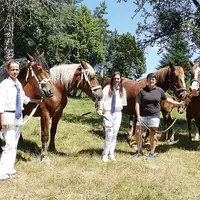 Samedi 27 juillet, races comtoises et bretonnes du Massif central tiendront le même jour leur concours interrégional qui servira de sélection pour le
