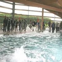 Les personnalités locales ont découvert l’espace forme de l’Aquateil au cours d’une cérémonie inaugurale.