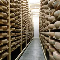 Par rapport à début 2007, le prix du lait destiné au comté n’a pris que 8 % d’augmentation au premier semestre 2008