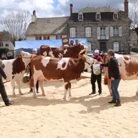 La relève assurée.