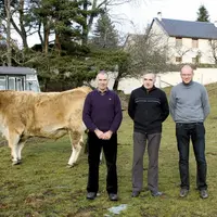De gauche à droite : Michel et Christian Bos et J.M. Vidalenc devant les bœufs aubracs du restaurant Mallet.