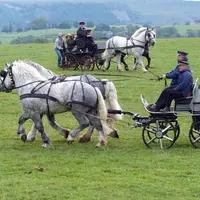 La présentation des calèches des Haras a rythmé cette journée consacrée à la race percheronne.