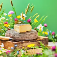 Le saint-nectaire fermier connaît désormais davantage de succès que sa version laitière. 
