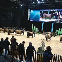 400 animaux, 44 structures partenaires privés et 8 collectivités : le National aubrac au Sommet de l'élevage 
a laissé de grands souvenirs (photo arch