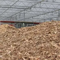 Le contexte, économique notamment, pousse de plus en plus d’agriculteurs à valoriser leurs haies en litière bois.