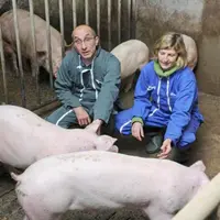 Les qualités de la race étaient rappelées par Jersiaise France lors d’une journée technique programmée dans le Cantal.