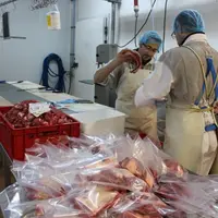 Dans les locaux occupés par Du Producteur à l'assiette, une société en plein développement.