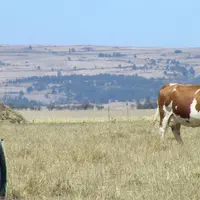 Des sécheresses à répétition, signe d’un réel changement climatique qui impose de s’adapter.