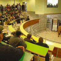 Derniers tests pour le marché au cadran de Mauriac, devant les regards attentifs des éleveurs qui espèrent que cette nouvelle structure relancera les