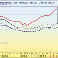 Le cours du jeune bovin a atteint des niveaux historiques à près de 4 euros le kilo pour la classe U.