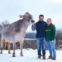 Un couple d'éleveurs souriant aux côtés de leur vache de race brune dans la neige.