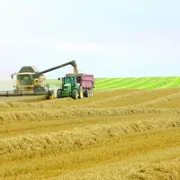 Sans atteindre le record de la campagne passée, les exportations européennes de blé 2009/2010 seront très largement supérieures à celles réalisées en