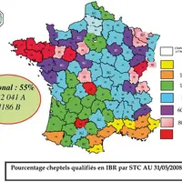 Au terme de la campagne 2009, 3 214 cheptels sont dépistés négatifs, soit 92,78 % et 3 137 cheptels certifiés soit 90,56 % des cheptels sont sous appe