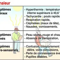 Le coup de chaleur peut être mortel. L’exposition prolongée aux forts rayons du soleil pendant l’été peut aussi provoquer d’autres accidents plus ou m
