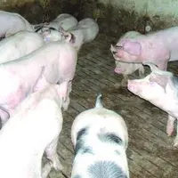 Chaque partenaire de la filière s’est engagé à se mobiliser.