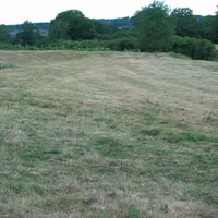 La Creuse a été parmi les premiers des 65 départements reconnus en calamités agricoles sur le plan du fourrage.