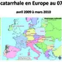 Grâce aux campagnes de vaccinations obligatoires de 2009 et 2010 (plus de 16,3 millions de bovins et 5,9 millions de petits ruminants vaccinés en 2010