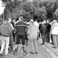Depuis quelques jours, les sangliers sont de retour dans les semis de maïs.