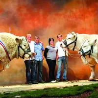 Les champion et championne du concours Charolais.