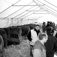 Foire de Cressat 2006