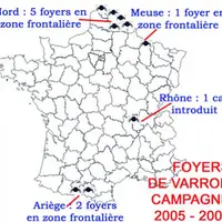La Creuse, comme l'ensemble de la France continentale, présente, aujourd'hui, une situation assainie vis à vis du varron. 
Maintenir ce statut favora