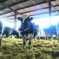 Les crises économiques, sociales et politiques de ces dernières années ont clairement montré les limites, 
tant pour les producteurs que pour les con