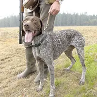 La période d'ouverture générale de la chasse à tir et de la chasse au vol est fixée pour le département du dimanche 12 septembre à 8 h au lundi 28 fév