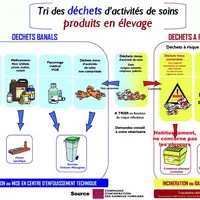 Face aux exigences de la réglementation concernant l’élimination des Déchets d’activités de soins à risques infectieux (Dasri) et des Médicaments vété
