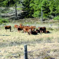Agriculture et biodiversité font bon ménage sur le plateau de Millevaches. Le grand public pourra en avoir la preuve les 19 et 20 mai prochains.