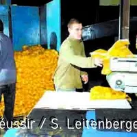 Les agriculteurs sont désormais plus sensibles au recours à la main d'œuvre salariale.