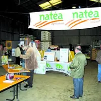 Lors des journées printemps Natéa